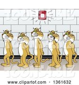 Vector Illustration of Cartoon Bobcat Mascots Walking in Line in a Hallway As a Fire Alarm Goes Off, Symbolizing Safety by Toons4Biz