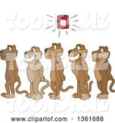Vector Illustration of Cougar School Mascots in Line During a Fire Drill, Symbolizing Safety by Mascot Junction
