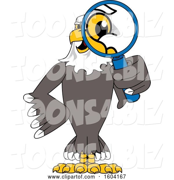 Vector Illustration of a Cartoon Bald Eagle Mascot Looking Through a Magnifying Glass
