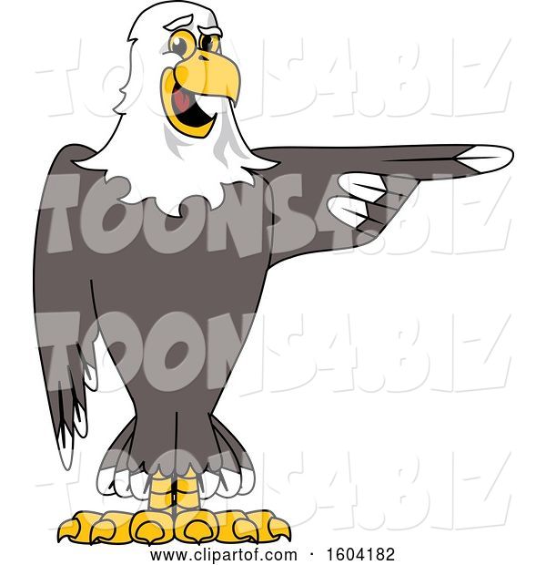 Vector Illustration of a Cartoon Bald Eagle Mascot Pointing