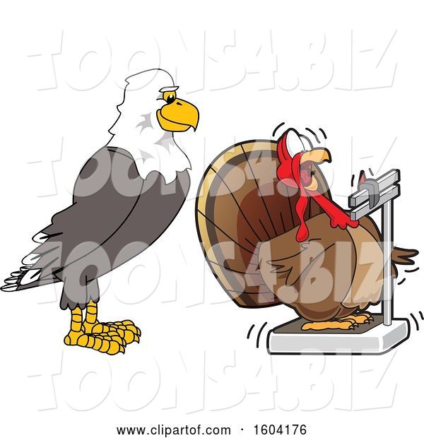 Vector Illustration of a Cartoon Bald Eagle Mascot Watching a Turkey Bird Weighing Itself