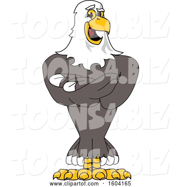 Vector Illustration of a Cartoon Bald Eagle Mascot with Folded Arms