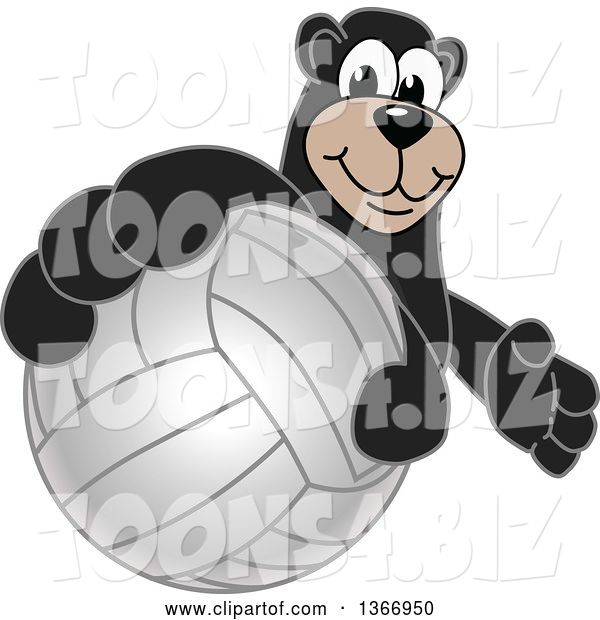 Vector Illustration of a Cartoon Black Bear School Mascot Grabbing a Volleyball