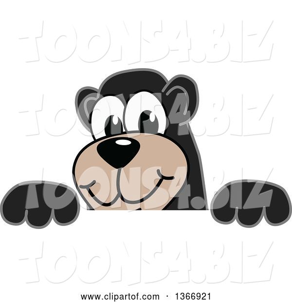 Vector Illustration of a Cartoon Black Bear School Mascot Looking over a Sign