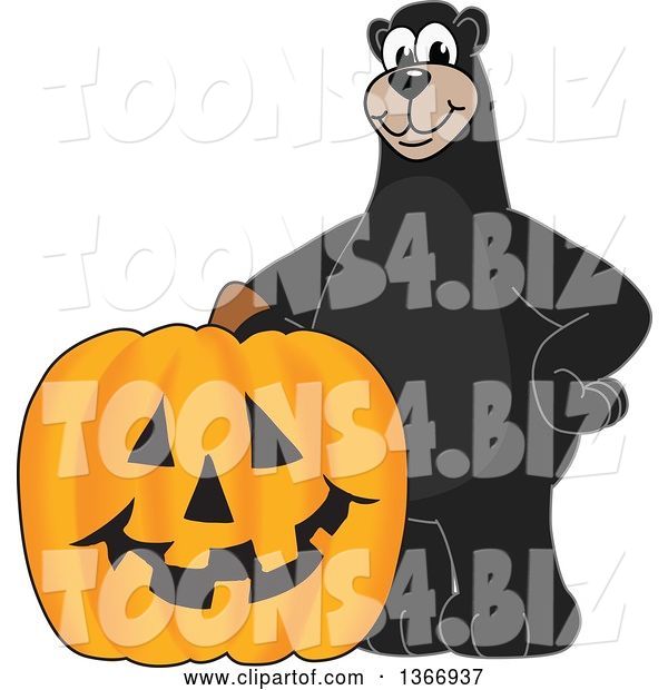 Vector Illustration of a Cartoon Black Bear School Mascot with a Halloween Jackolantern Pumpkin
