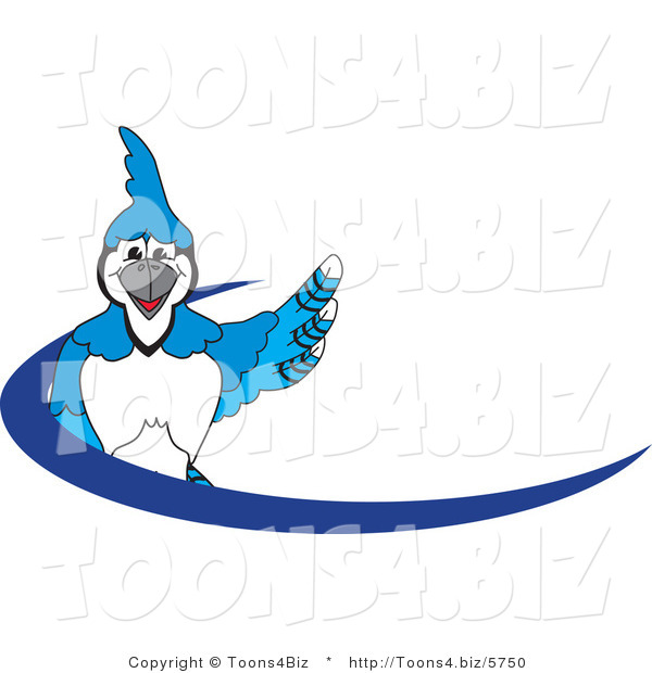 Vector Illustration of a Cartoon Blue Jay Mascot Blue Dash Logo