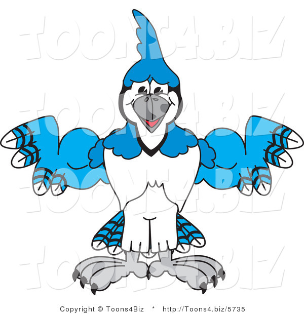 Vector Illustration of a Cartoon Blue Jay Mascot Flexing