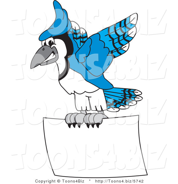 Vector Illustration of a Cartoon Blue Jay Mascot Flying a Blank Sign