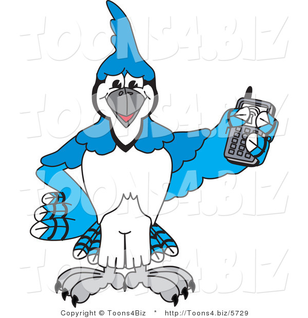 Vector Illustration of a Cartoon Blue Jay Mascot Holding a Cell Phone