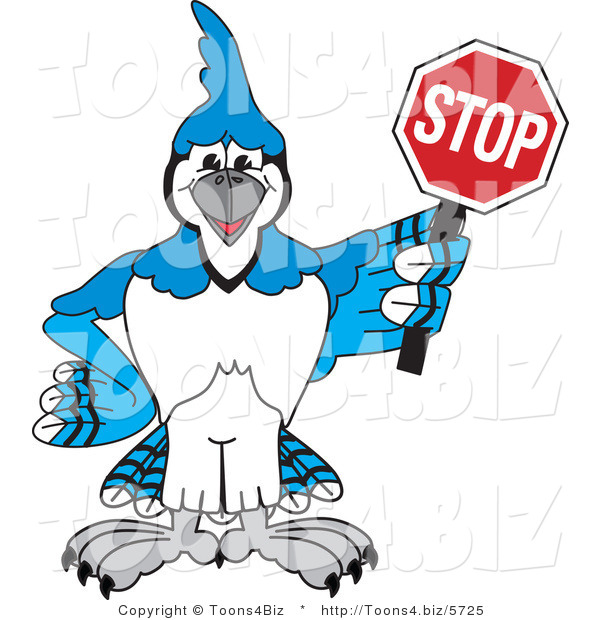 Vector Illustration of a Cartoon Blue Jay Mascot Holding a Stop Sign