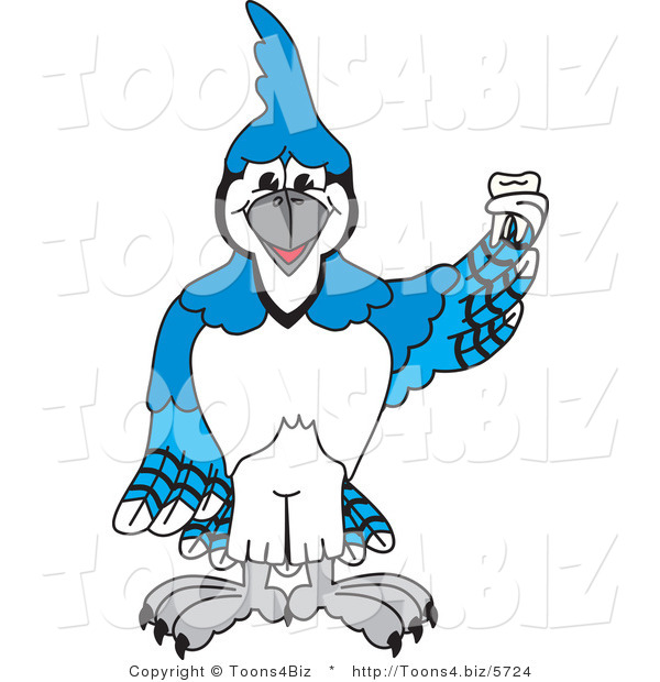 Vector Illustration of a Cartoon Blue Jay Mascot Holding a Tooth