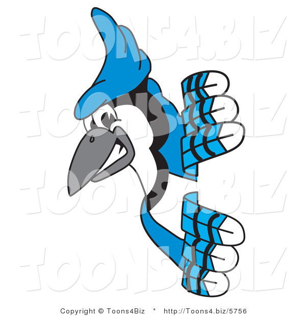 Vector Illustration of a Cartoon Blue Jay Mascot Looking Around a Sign