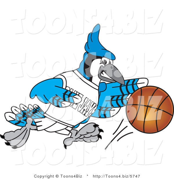 Vector Illustration of a Cartoon Blue Jay Mascot Playing Basketball