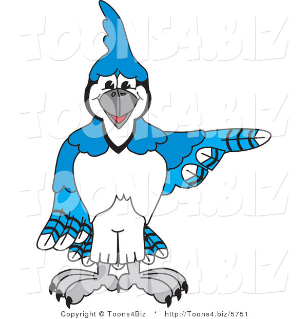 Vector Illustration of a Cartoon Blue Jay Mascot Pointing Right