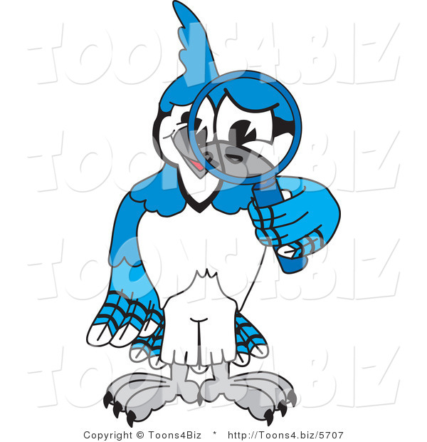Vector Illustration of a Cartoon Blue Jay Mascot Using a Magnifying Glass