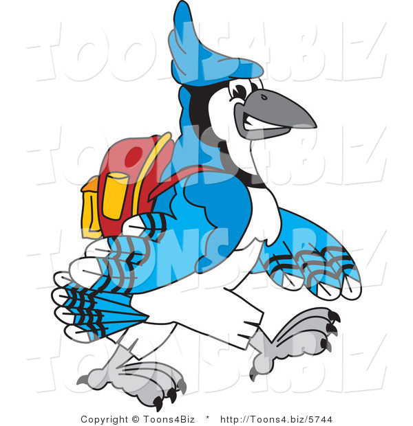 Vector Illustration of a Cartoon Blue Jay Mascot Walking to School