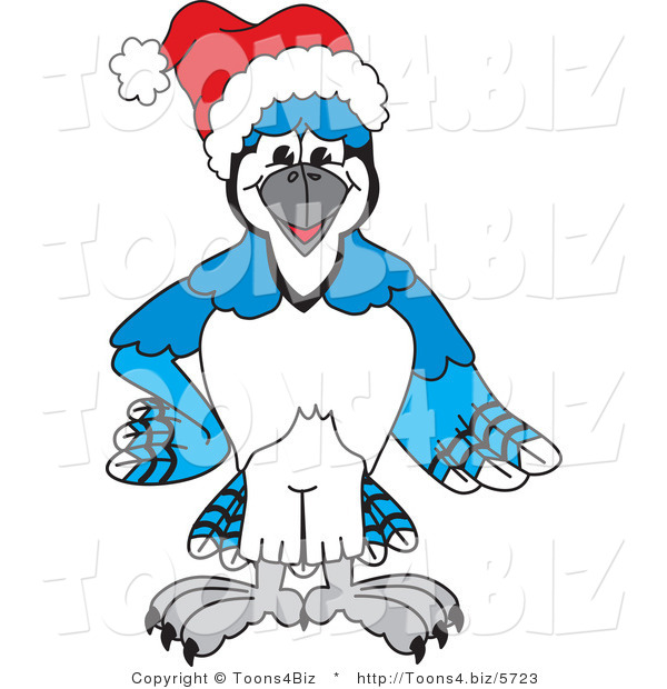 Vector Illustration of a Cartoon Blue Jay Mascot Wearing a Santa Hat