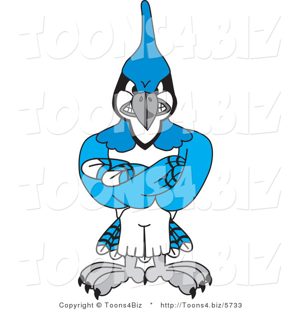 Vector Illustration of a Cartoon Blue Jay Mascot with Crossed Arms
