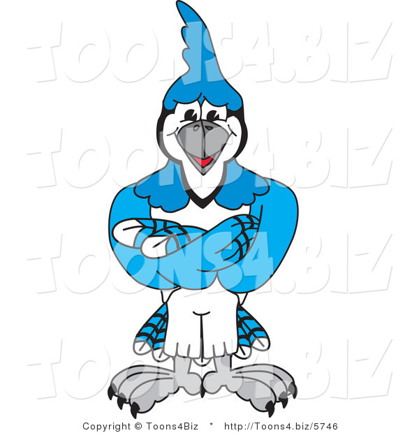 Vector Illustration of a Cartoon Blue Jay Mascot with His Arms Crossed