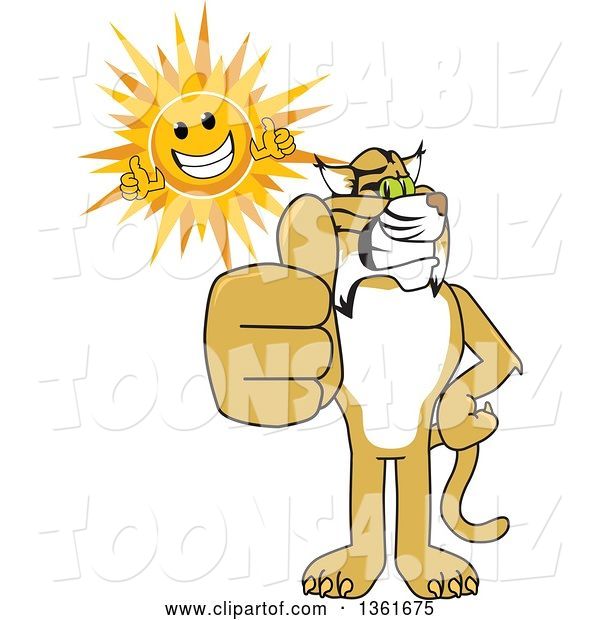Vector Illustration of a Cartoon Bobcat Mascot and Sun Holding Thumbs Up, Symbolizing Excellence