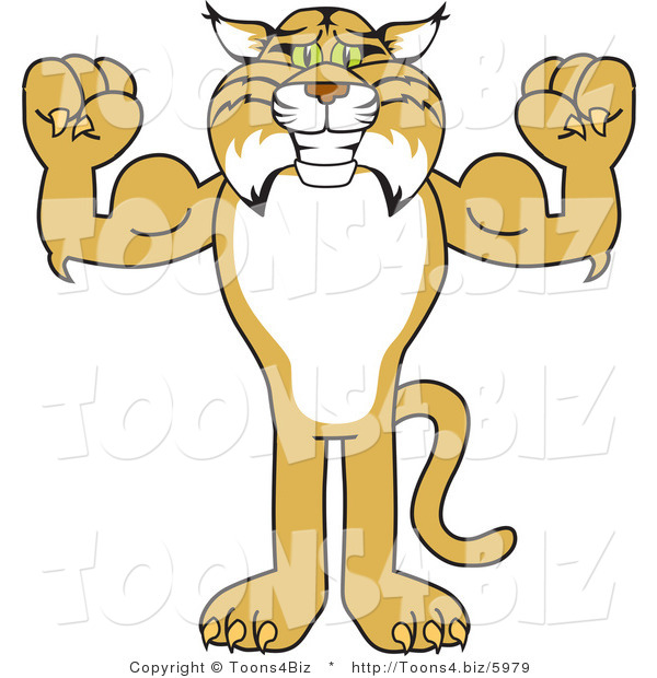 Vector Illustration of a Cartoon Bobcat Mascot Flexing