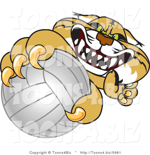 Vector Illustration of a Cartoon Bobcat Mascot Grabbing a Volleyball