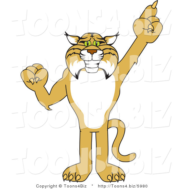 Vector Illustration of a Cartoon Bobcat Mascot Pointing up