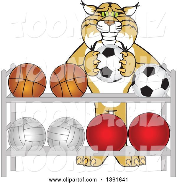 Vector Illustration of a Cartoon Bobcat Mascot Putting a Soccer Ball Back on a Rack, Symbolizing Respect