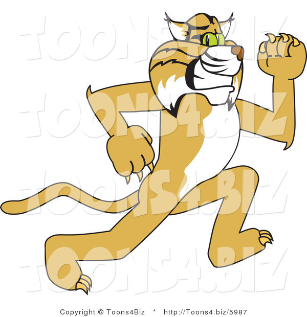 Vector Illustration of a Cartoon Bobcat Mascot Running
