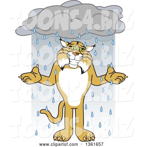 Vector Illustration of a Cartoon Bobcat Mascot Shrugging in the Rain, Symbolizing Acceptance