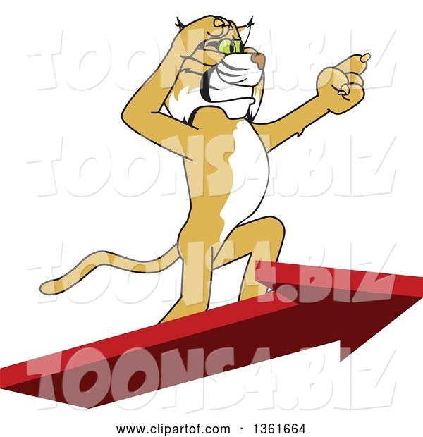 Vector Illustration of a Cartoon Bobcat Mascot Standing on an Arrow and Pointing, Symbolizing Leadership