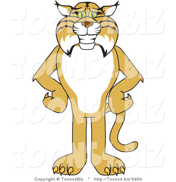 Vector Illustration of a Cartoon Bobcat Mascot Standing with His Hands on His Hips