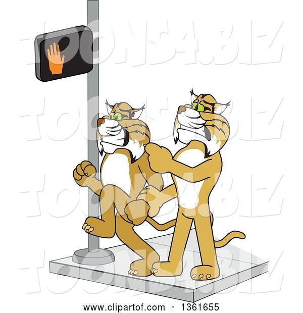 Vector Illustration of a Cartoon Bobcat Mascot Stopping Another from Using a Crosswalk at the Wrong Time, Symbolizing Safety