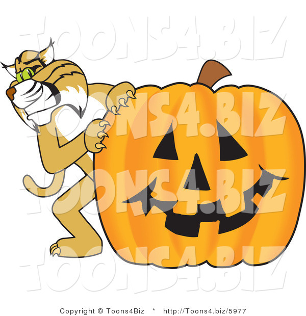 Vector Illustration of a Cartoon Bobcat Mascot with a Pumpkin