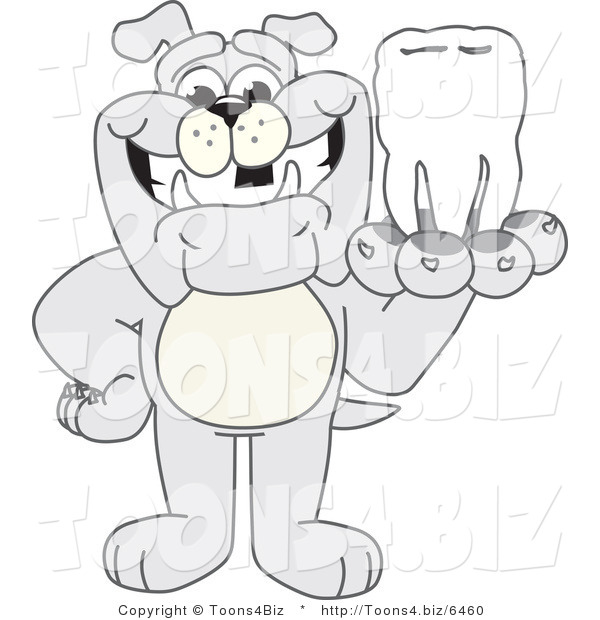 Vector Illustration of a Cartoon Bulldog Mascot Holding a Tooth