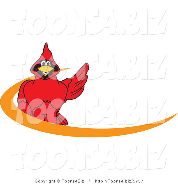 Vector Illustration of a Cartoon Cardinal Mascot Orange Dash Logo