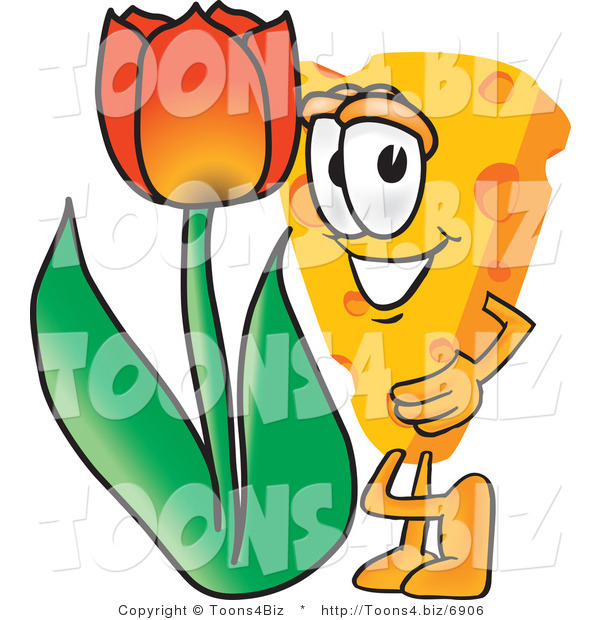 Vector Illustration of a Cartoon Cheese Mascot with a Tulip - Royalty Free Vector Illustration