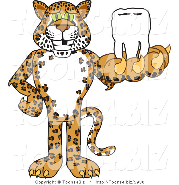Vector Illustration of a Cartoon Cheetah Mascot Holding a Tooth