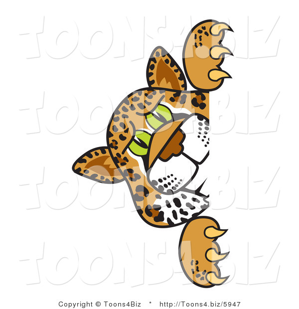 Vector Illustration of a Cartoon Cheetah Mascot Looking Around a Corner
