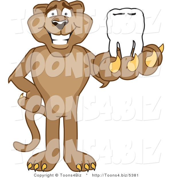 Vector Illustration of a Cartoon Cougar Mascot Character Holding a Tooth