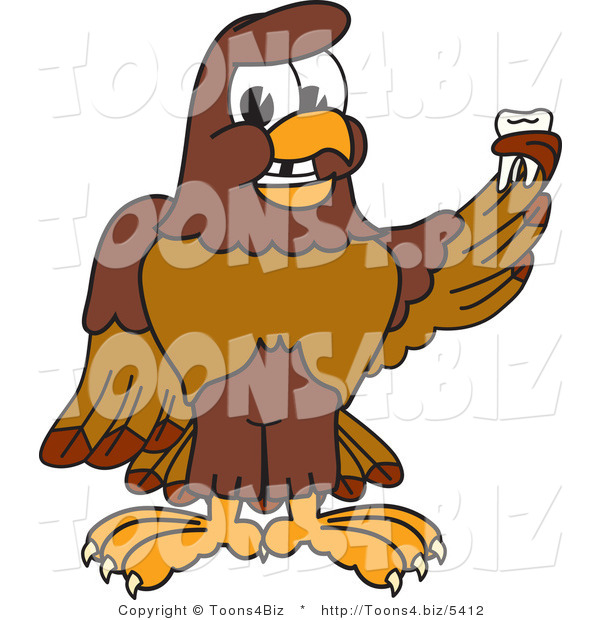 Vector Illustration of a Cartoon Falcon Mascot Character Holding a Missing Tooth