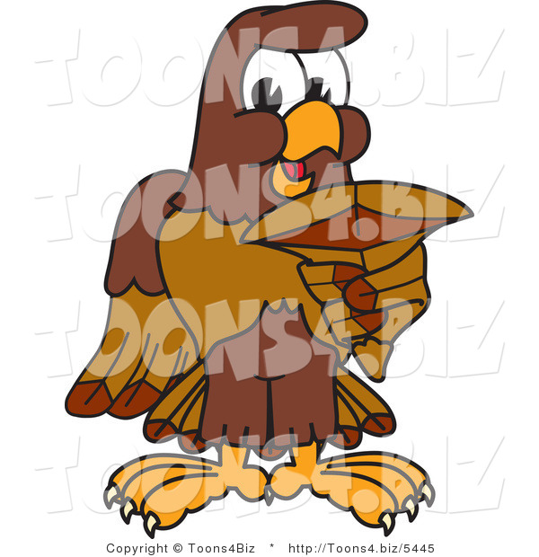 Vector Illustration of a Cartoon Falcon Mascot Character Holding a Shark Tooth