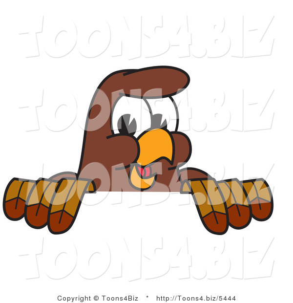 Vector Illustration of a Cartoon Falcon Mascot Character Looking over a Surface
