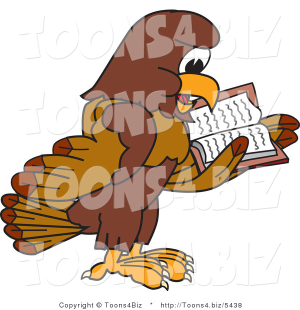 Vector Illustration of a Cartoon Falcon Mascot Character Reading