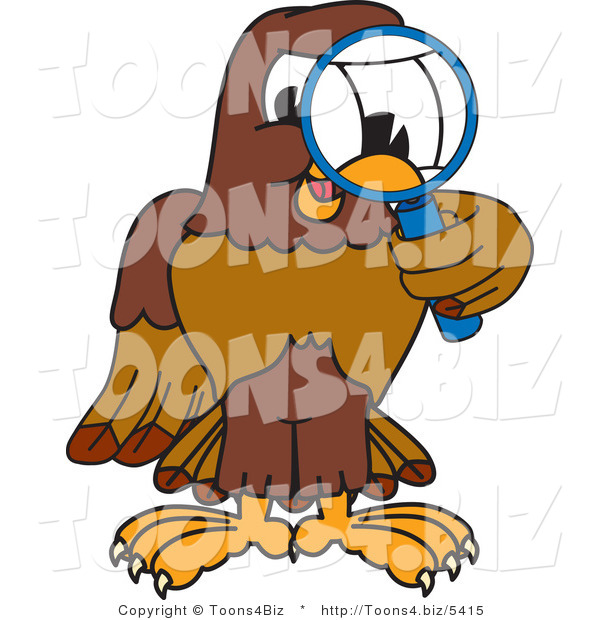 Vector Illustration of a Cartoon Falcon Mascot Character Using a Magnifying Glass