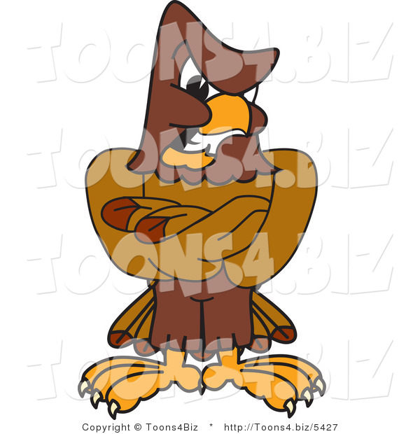 Vector Illustration of a Cartoon Falcon Mascot Character with an Angry Expression