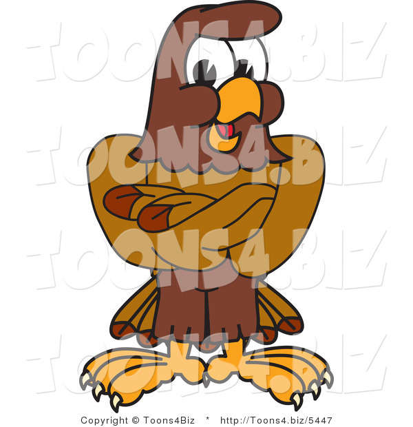 Vector Illustration of a Cartoon Falcon Mascot Character with His Arms Crossed