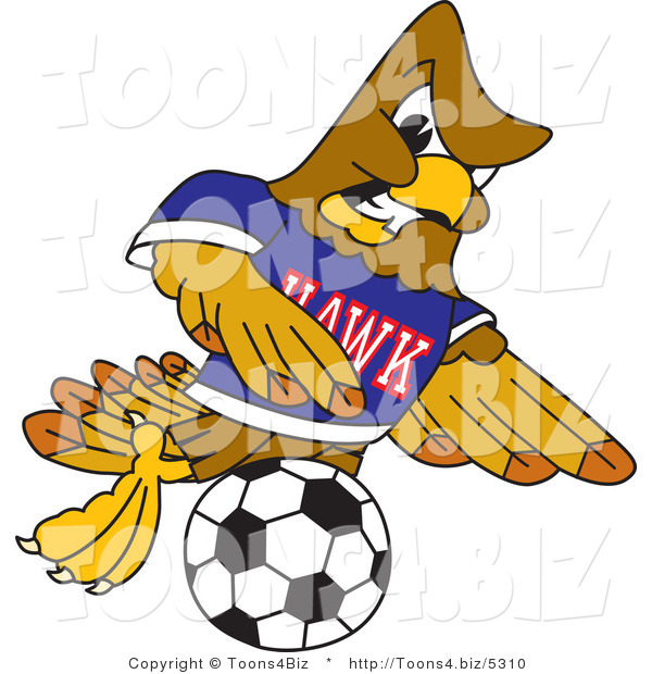 Vector Illustration of a Cartoon Hawk Mascot Character Kicking a Soccer Ball