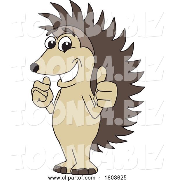 Vector Illustration of a Cartoon Hedgehog Mascot Holding Two Thumbs up