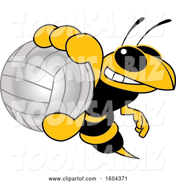 Vector Illustration of a Cartoon Hornet School Mascot Grabbing a Volleyball